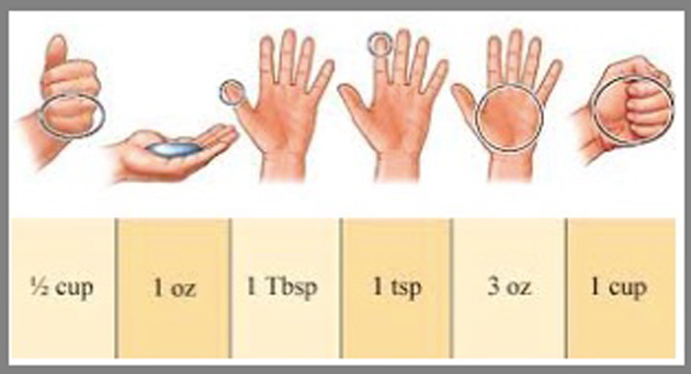 MEASURING FOOD PORTIONS WITHOUT A SCALE Greyvenstein Dietitians And 